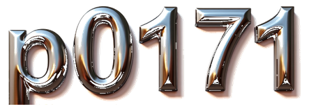 p0171 logo